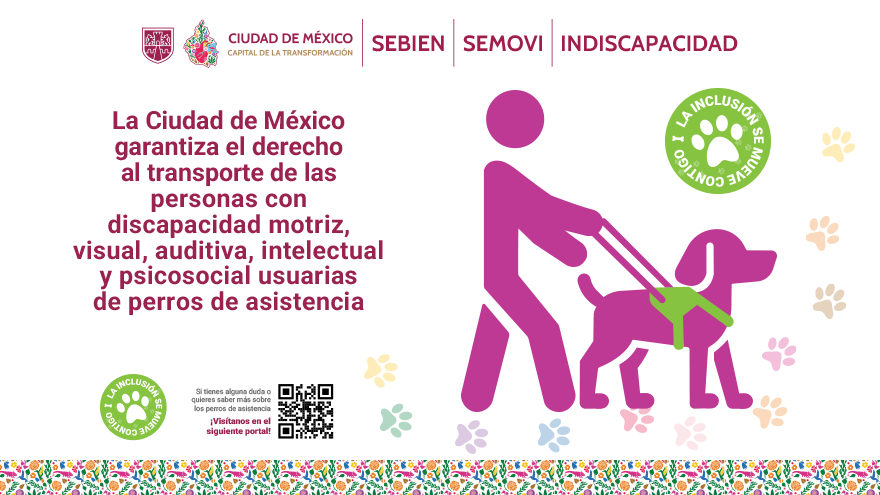 LA INCLUSIÓN SE MUEVE CONTIGO
